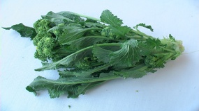 Cima di rapa